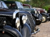 IMG_8478 IMG_8478