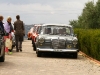 IMG_8917 IMG_8917